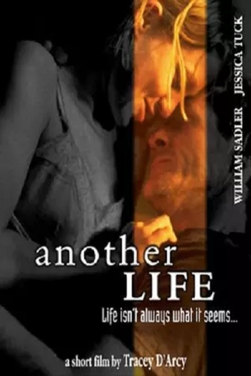 Постер Another Life